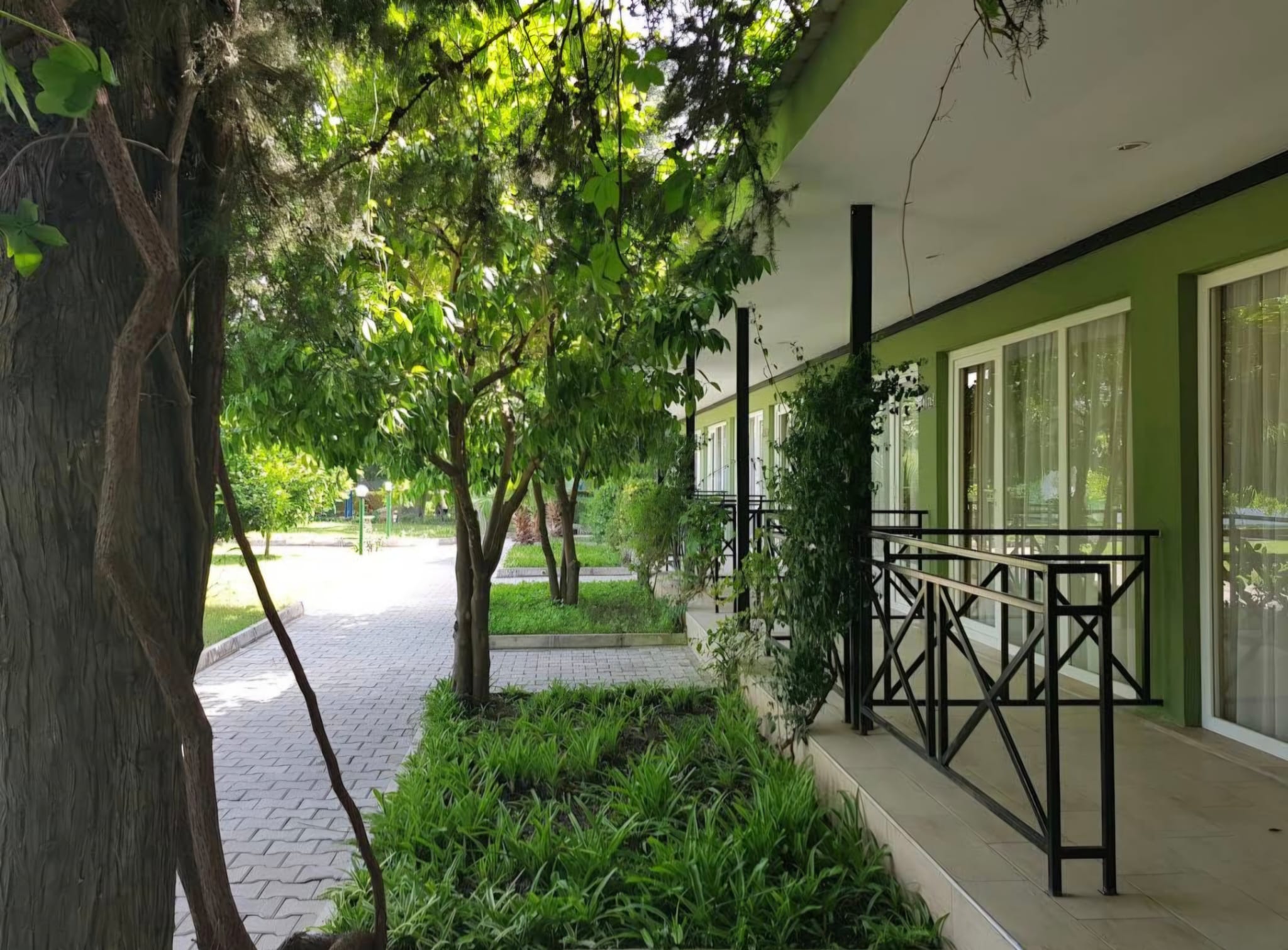 Bahçe ve Genel Görünüm